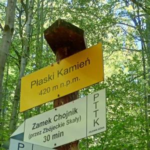 Rozdroże Płaski Kamień - rozdroze plaski kamien 5