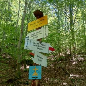 Rozdroże Płaski Kamień - rozdroze plaski kamien 6