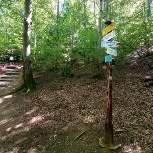 Rozdroże Płaski Kamień - rozdroze plaski kamien 7