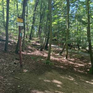 Rozdroże Płaski Kamień - rozdroze plaski kamien 8