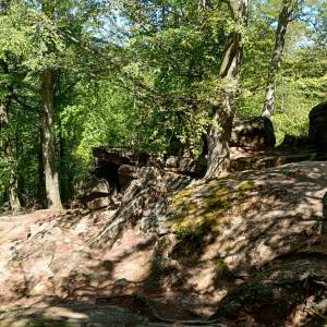 Zbójeckie Skały pod Chojnikiem - zbojeckie skaly pod chojnikiem 20