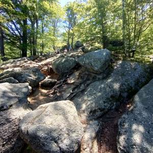 Zbójeckie Skały pod Chojnikiem - zbojeckie skaly pod chojnikiem 22