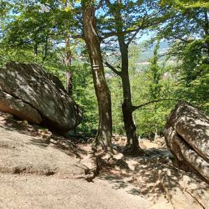 Zbójeckie Skały pod Chojnikiem - zbojeckie skaly pod chojnikiem 26
