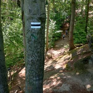 Zbójeckie Skały pod Chojnikiem - zbojeckie skaly pod chojnikiem 27