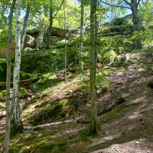 Zbójeckie Skały pod Chojnikiem - zbojeckie skaly pod chojnikiem 5