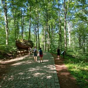 Skalny Grzyb na zboczu Chojnika - skalny grzyb na zboczu chojnika 1
