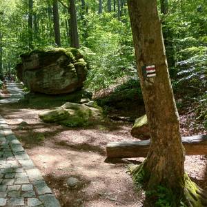 Skalny Grzyb na zboczu Chojnika - skalny grzyb na zboczu chojnika 10