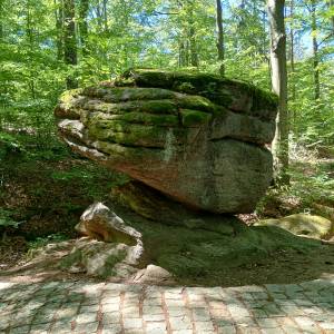 Skalny Grzyb na zboczu Chojnika - skalny grzyb na zboczu chojnika 13