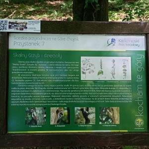 Skalny Grzyb na zboczu Chojnika - skalny grzyb na zboczu chojnika 14