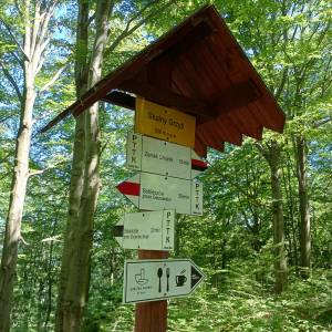 Skalny Grzyb na zboczu Chojnika - skalny grzyb na zboczu chojnika 2