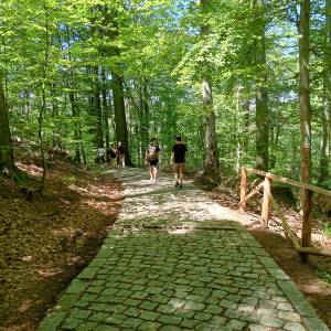 Skalny Grzyb na zboczu Chojnika - skalny grzyb na zboczu chojnika 4