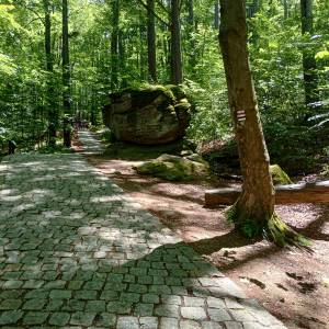 Skalny Grzyb na zboczu Chojnika - skalny grzyb na zboczu chojnika 7