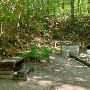 Źródło Kunegundy pod Chojnikiem - zrodlo kunegundy pod chojnikiem 1