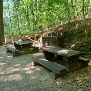 Źródło Kunegundy pod Chojnikiem - zrodlo kunegundy pod chojnikiem 10