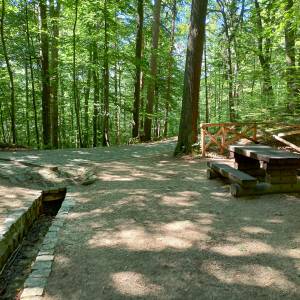 Źródło Kunegundy pod Chojnikiem - zrodlo kunegundy pod chojnikiem 11