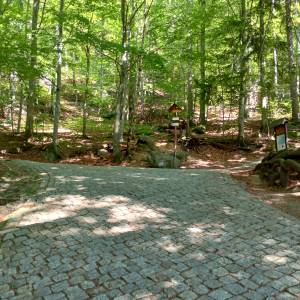 Źródło Kunegundy pod Chojnikiem - zrodlo kunegundy pod chojnikiem 4