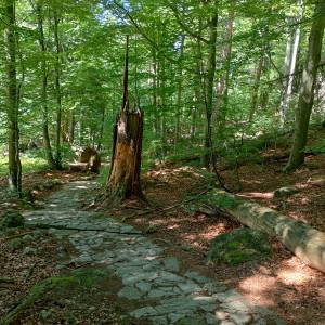 Głazowisko (480 m n.p.m.) - glazowisko 17