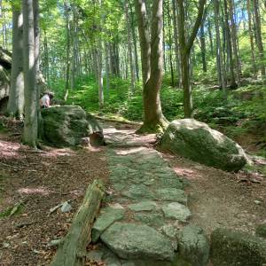 Głazowisko (480 m n.p.m.) - glazowisko 2024