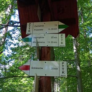 Głazowisko (480 m n.p.m.) - glazowisko 480 m n p m 16