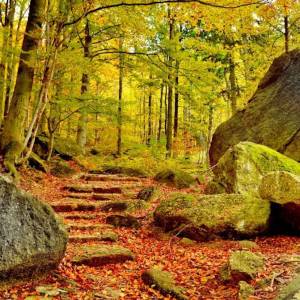 Głazowisko (480 m n.p.m.) - glazowisko pod chojnikiem