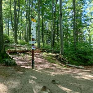 Przełęcz Żarska pod Chojnikiem - przelecz zarska pod chojnikiem 11