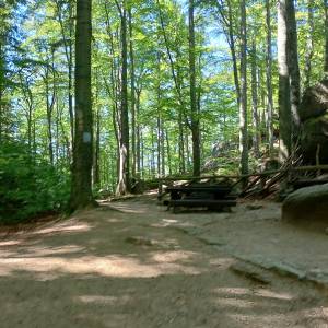 Przełęcz Żarska pod Chojnikiem - przelecz zarska pod chojnikiem 12