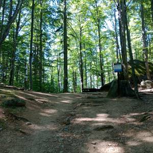 Przełęcz Żarska pod Chojnikiem - przelecz zarska pod chojnikiem 13