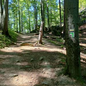 Przełęcz Żarska pod Chojnikiem - przelecz zarska pod chojnikiem 14