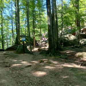 Przełęcz Żarska pod Chojnikiem - przelecz zarska pod chojnikiem 15