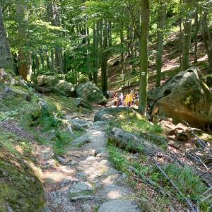 Przełęcz Żarska pod Chojnikiem - przelecz zarska pod chojnikiem 2