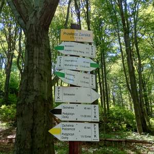 Przełęcz Żarska pod Chojnikiem - przelecz zarska pod chojnikiem 3