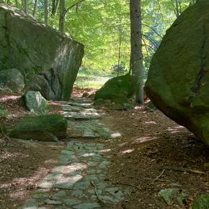 Ścieżka Kunegundy pod Chojnikiem - sciezka kunegundy pod chojnikiem 2024 3