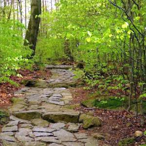 Ścieżka Kunegundy pod Chojnikiem - sciezka kunegundy pod chojnikiem 23