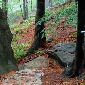 Ścieżka Kunegundy pod Chojnikiem - sciezka kunegundy pod chojnikiem 24