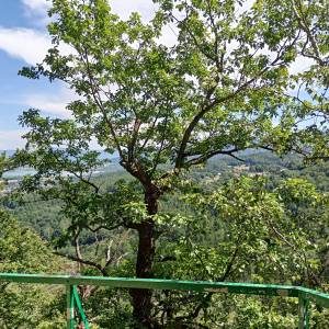 Punkt widokowy pod Zamkiem Chojnik - punkt widokowy pod zamkiem chojnik 4