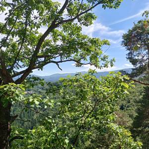 Punkt widokowy pod Zamkiem Chojnik - punkt widokowy pod zamkiem chojnik 6