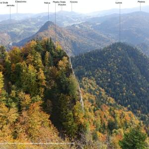 Płaska Skała (950 m n.p.m.) - plaska skala