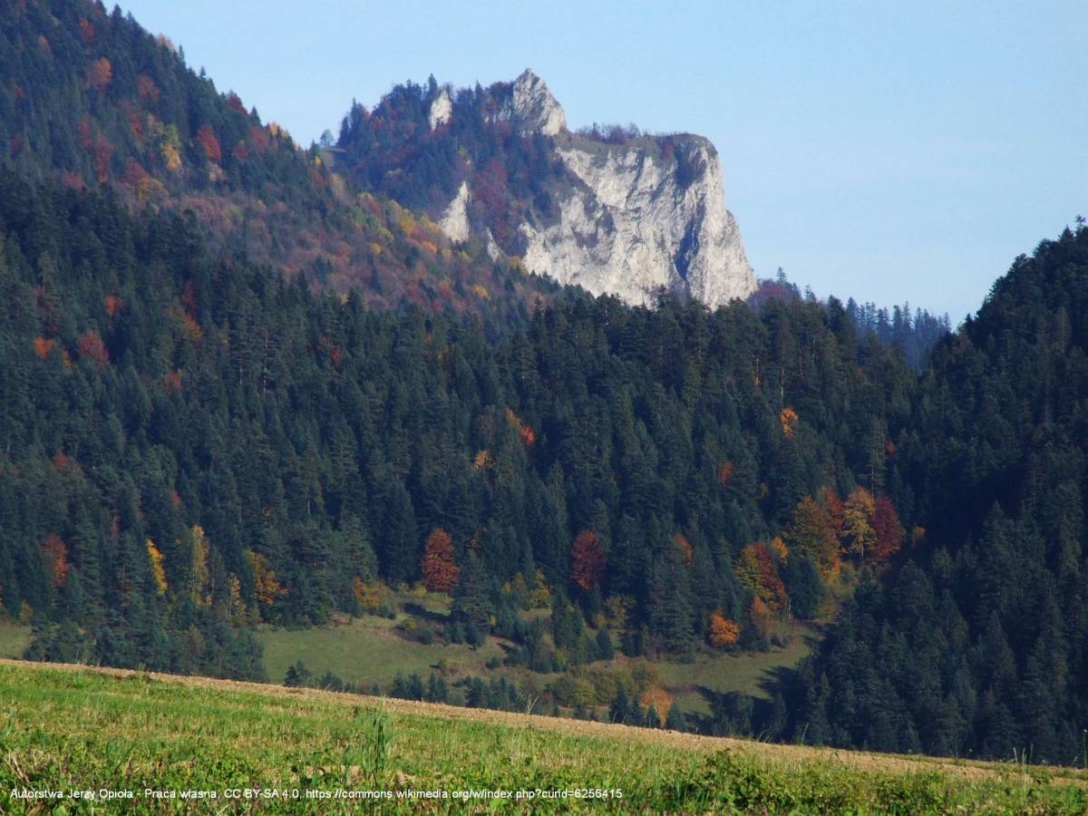 Niżnia Okrąglica (946 m n.p.m.) - trzy korony a10