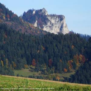 Niżnia Okrąglica (946 m n.p.m.) - trzy korony a10