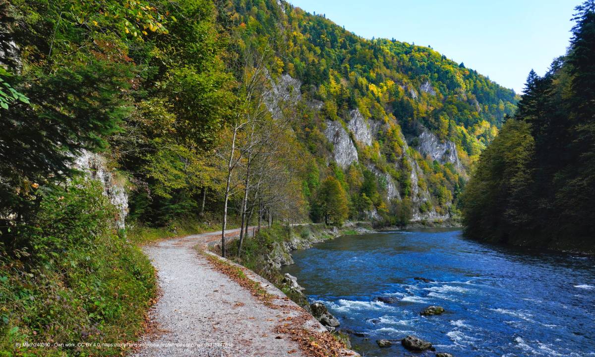 Pieniński Przełom Dunajca - drogapieninska srodkowyodcinek1 svk pieniny