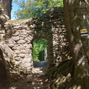 Piekielna Dolina pod Chojnikiem - piekielna dolina pod chojnikiem 6