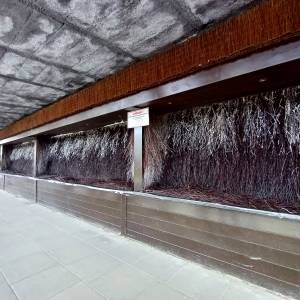 Tężnia w Cieplicach - teznia w cieplicach 4