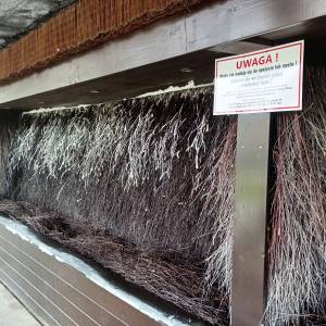 Tężnia w Cieplicach - teznia w cieplicach 7