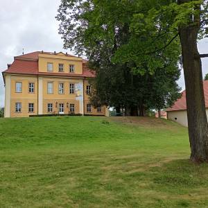 Park pałacowy w Łomnicy - park palacowy w lomnicy 1