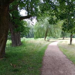 Park pałacowy w Łomnicy - park palacowy w lomnicy 10