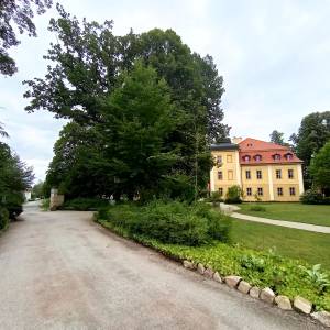 Park pałacowy w Łomnicy - park palacowy w lomnicy 3