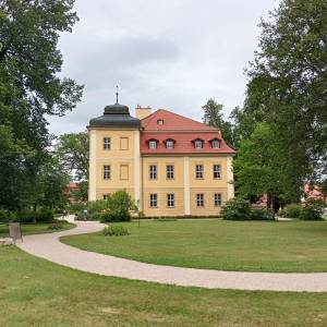 Park pałacowy w Łomnicy - park palacowy w lomnicy 4