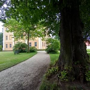 Park pałacowy w Łomnicy - park palacowy w lomnicy 6