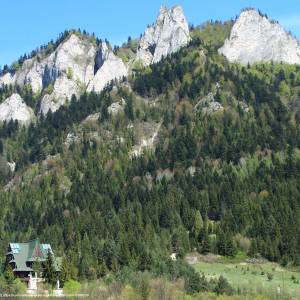 Szlak Trzy Korony ze Sromowiec Niżnych - pętla - trzy korony a11