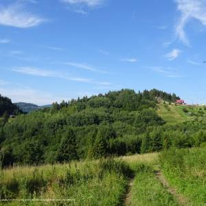 Palenica (722 m n.p.m) - palenica widokzpoludniowegozachodu pol male pieniny